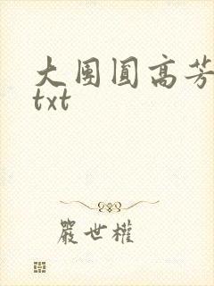 大团圆高芳小说txt