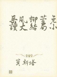 岳风柳萱免费阅读大结局小说
