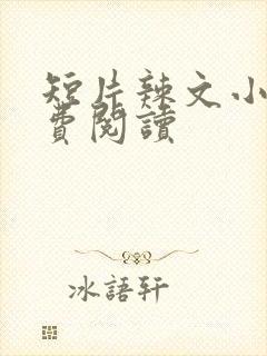 短片辣文小说免费阅读