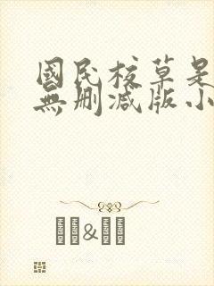 国民校草是女生无删减版小说封面