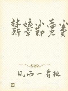 林姨小志小说最新章节免费阅读无弹窗封面