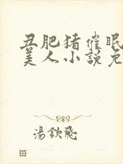 丑肥猪催眠清冷美人小说免费阅读封面