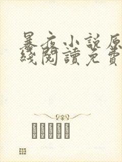 暴夜小说原著在线阅读免费