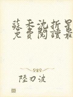 苏禾沈折星小说免费阅读最新章节封面