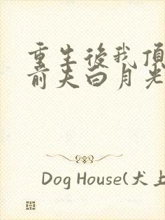 重生后我顶替了前夫白月光全集小说