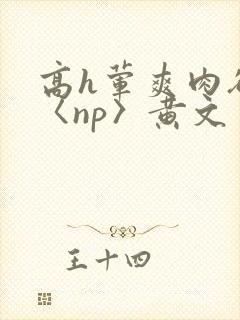 高h荤爽肉欲文〈np〉黄文封面