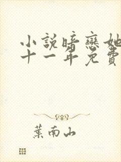小说暗恋她的第十一年免费看