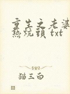 重生之老婆孩子热炕头 txt