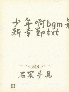 少年啊bgm最新章节txt封面