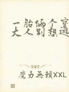 一胎俩个宝老婆大人别想逃