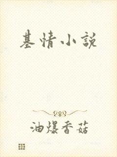基情小说