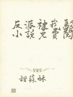 反派被我驳傻了小说免费阅读
