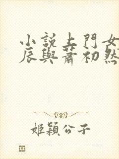 小说上门女婿叶辰与萧初然