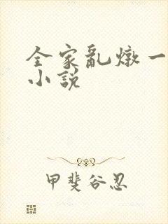 全家乱炖一锅烩小说