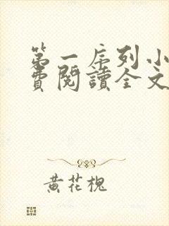 第一序列小说免费阅读全文无删减
