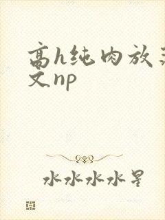高h纯肉放荡h文np