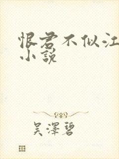 恨君不似江楼月小说