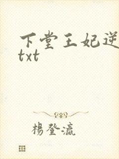 下堂王妃逆袭记txt