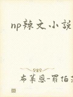 np辣文小说封面