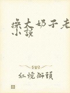操大奶子老师的小说
