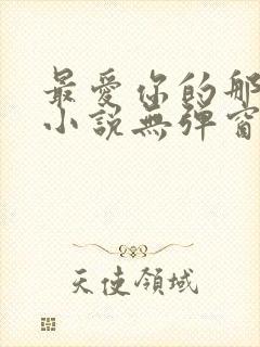 最爱你的那十年小说无弹窗封面