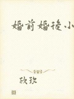 婚前婚后小说封面
