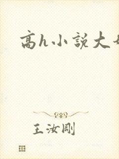 高h小说大奶