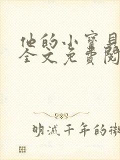 他的小宝贝小说全文免费阅读