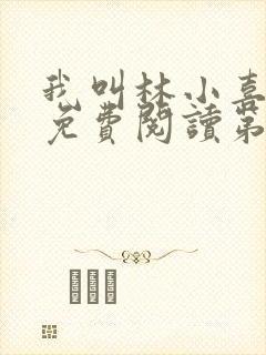 我叫林小喜全文免费阅读第二部封面