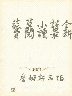 苏莫小说全文免费阅读最新章节