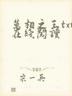 万相之王txt在线阅读