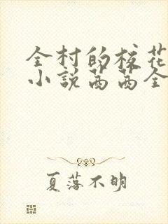 全村的校花妹妹小说茜茜全文阅读