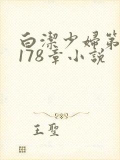 白洁少妇第1一178章小说封面