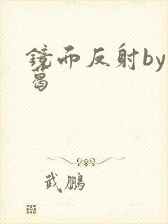 镜面反射by九葛