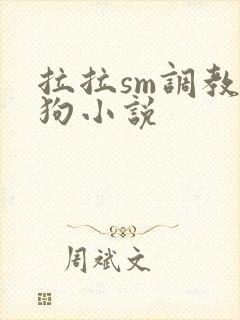 拉拉sm调教母狗小说