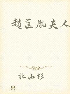 赵匡胤夫人是谁
