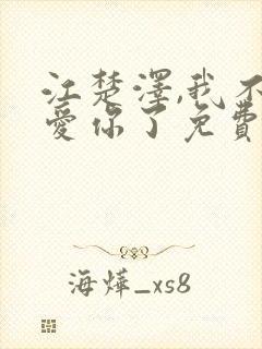 江楚泽,我不会爱你了免费阅读