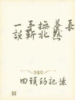 一手抚养长大小说靳北然