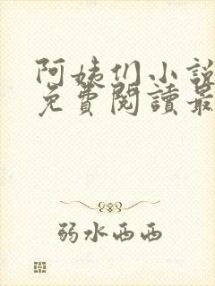 阿姨们小说全文免费阅读最新章节