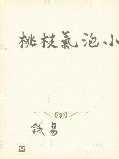 桃枝气泡小说