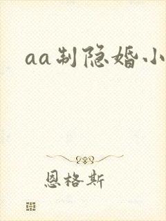 aa制隐婚小说