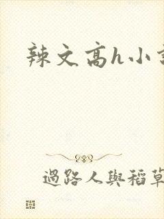 辣文高h小说封面