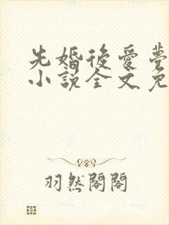 先婚后爱梦筱二小说全文免费阅读