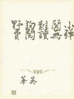 野狗难哄小说免费阅读无弹窗全文封面