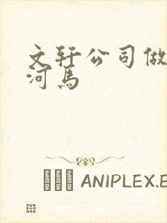 文轩公司做扩张河马封面