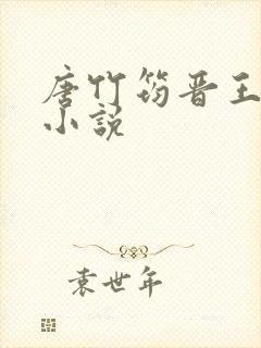 唐竹筠晋王什么小说