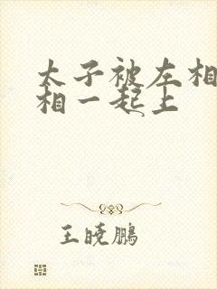 太子被左相和右相一起上