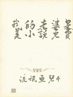 我的老婆是白富美小说免费阅读