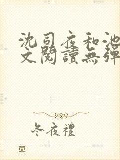 沈司夜和池茵全文阅读无弹窗笔趣阁