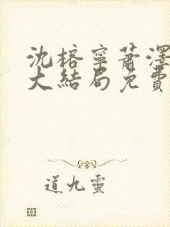 沈榕宁萧泽小说大结局免费阅读封面